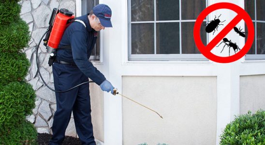 Soma Böcek İlaçlama böcek ilaçlama ve haşere kontrolü — ilaclama-tr.com